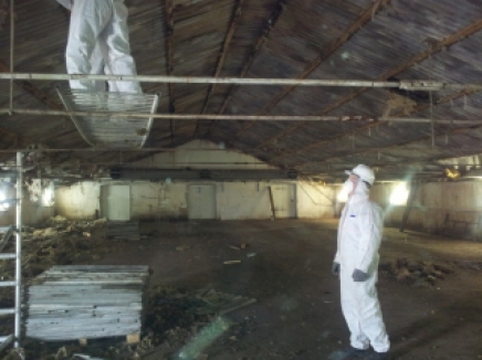 Kwiecień 2013 Usuwanie eternitu w hali produkcyjnej. Azbest został zamontowany od spodu dachu.